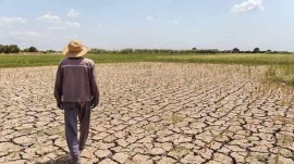 خشک ترین سال در مازندران