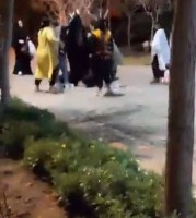 بازداشت عاملان حمله به خانم محجبه در یک بوستان‌