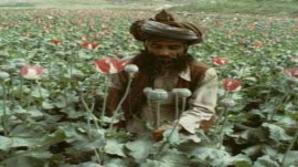 همکاری ایران در مبارزه با موادمخدر در افغانستان